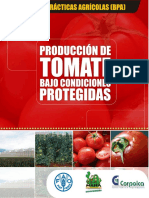 produccion-tomate.pdf