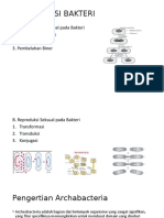 Reproduksi Bakteri