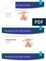 Fisiologia de las fosas nasales.pptx