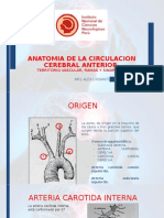 Anatomia de La Circulacion Cerebral Anterior