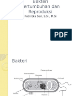 Pertemuan 2 Bakteri, Pertumbuhan Dan Reproduksi