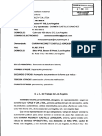 DEMANDA.pdf