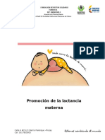 Promocion de La Lactancia Materna