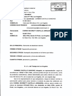 DEMANDA DE DESAFUERO MATERNAL.pdf