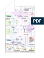 Patphysyology of Hypertension