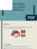 RADANG SALURAN EMPEDU