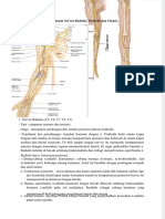 Dokumen - Tips - Pemeriksaan Nervus Radialis Median Ulna