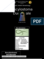 Ancylostoma-Duodenale Nematodes