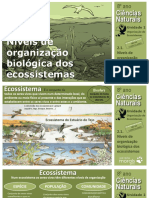 CN8 Niveis Organizacao Biologica Ecossistemas PDF