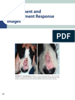 CHAPTER - 16 - Pretreatment and Posttreatment Respo - 2011 - Small Animal Dermat PDF