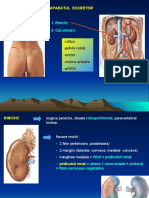 Renal Pps