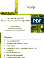 Rapita.pdf
