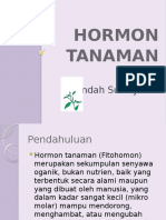 4 Homon Tanaman
