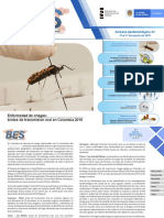 2019 Boletín Epidemiológico Semana 33 PDF