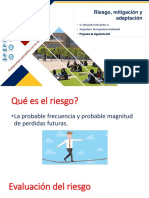 Riesgo, Mitigación, Adaptación