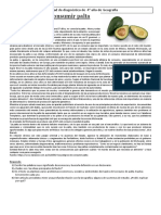 Diag 4° 2019 Los Peligros de Consumir Palta