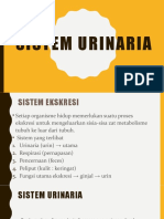 Sistem Urinaria Anfisman