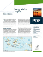 Indonesia Renewable Energy Assessment (FINAL)