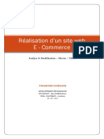 Rapport Site ECommerce PDF