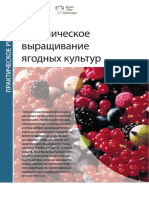 (2017) Органическое выращивание ягодных культур