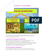 Ecosistema Acuático y Ecosistema Terrestre 4