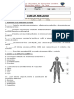 Prueba Sist. Nervioso 2019