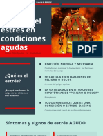 Manejo del estrés.pdf