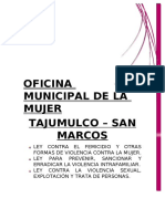 Manual de Direccion-Municipal-de-la-Mujer