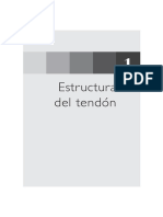 Tendones_y_Ligamentos.pdf