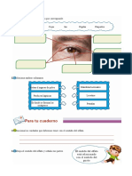 El Olfato y La Vista para Tercero de Primaria 4