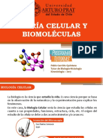 Teoría Celular y Biomoléculas