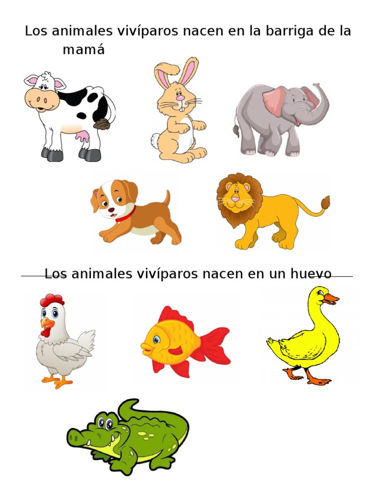 Los Animales Vivíparos Nacen en La Barriga de La Mamá | PDF