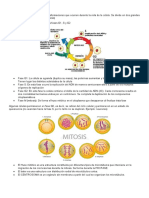 Ciclo celular y mitosis