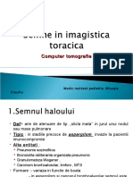 semneinimagisticatoracicact-150205144525-conversion-gate01.pdf