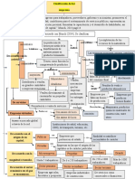 Mapa Conceptual