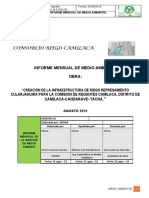 INFORME MENSUAL DE MEDIO AMBIENTE Agosto 2019 (00000002)