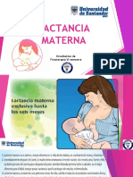 Rotafolio Lactancia Materna