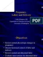 pregnancylaboranddeliveryDelivery