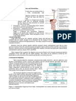 General Principles of Digestion and Metabolism