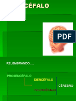 7 Diencéfalo