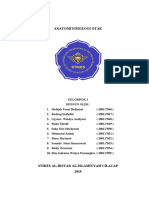 ANATOMY DAN FISIOLOGI OTAK