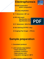 2D_Electrophoresis_11-04-04