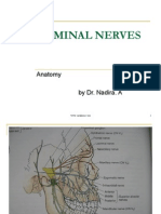 Trigeminal Nerves: Anatomy by Dr. Nadira. A
