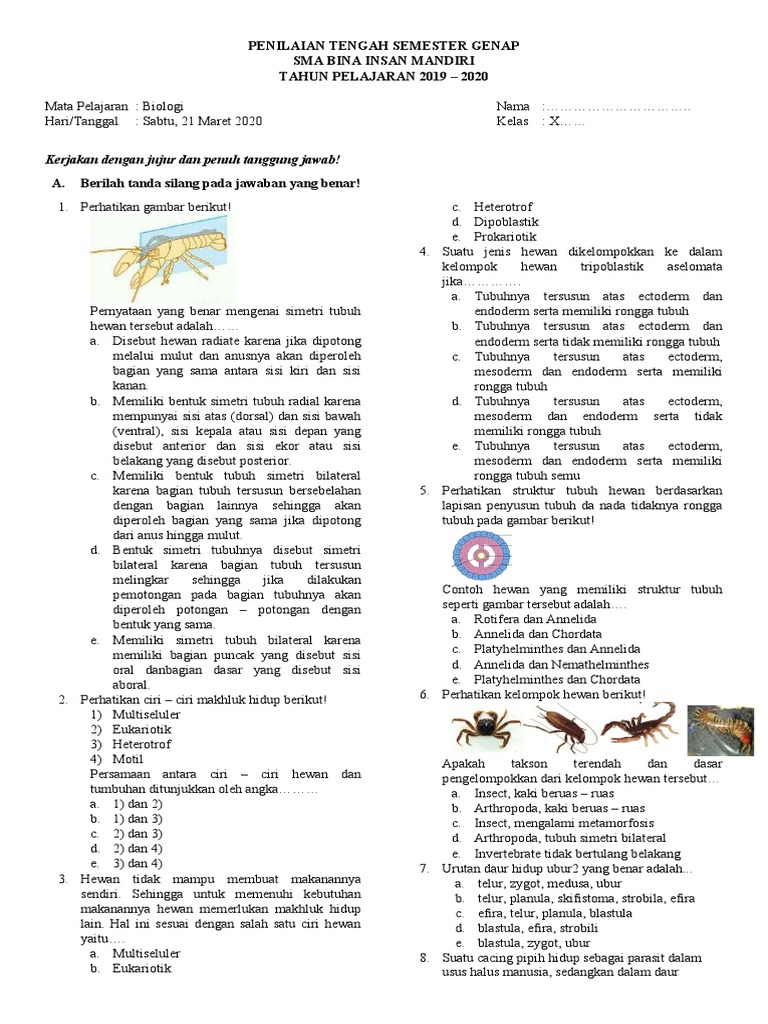 Soal Materi Platihelmintes Dan Jawaban