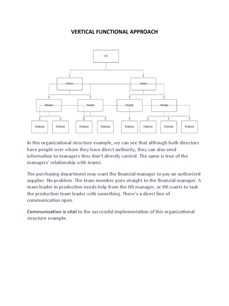 Vertical Functional Organizational Structure | PDF | Career & Growth ...