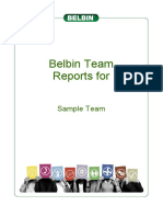 team-report.pdf