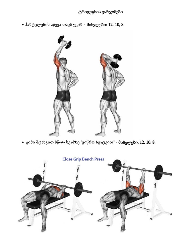 GYM System | PDF