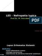 23521099-LES-Nefropatia-lupica