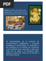 10. Neonatología. Conceptos. Adaptación a la vida extrauterina
