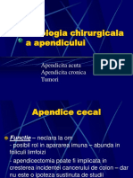 Patologie Apendiculara PDF